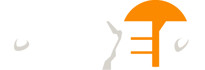 amea main white logo horizontal 417x143